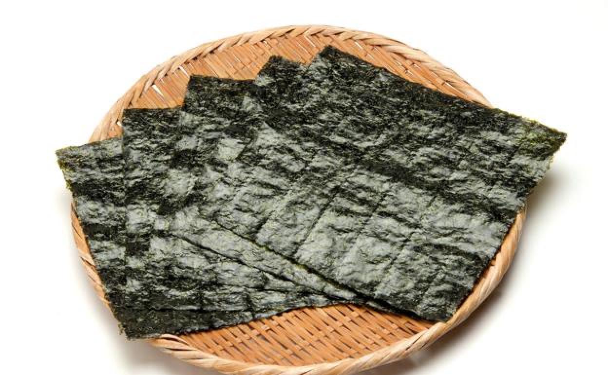 Alga nori características Alga nori, páginas de sabor a mar El Correo